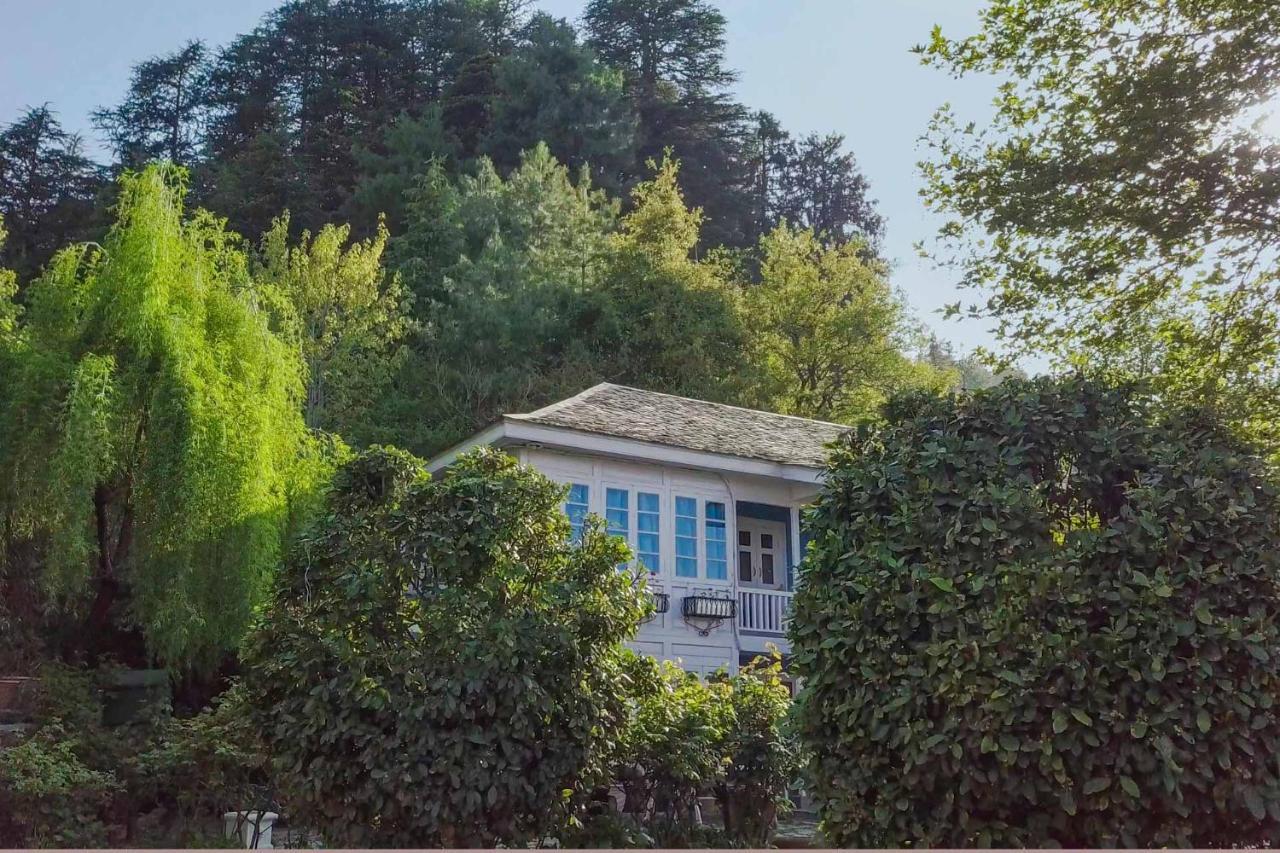 Stayvista At Violet Hill With Bonfire, Gazebo & Hill View Shimla Eksteriør bilde
